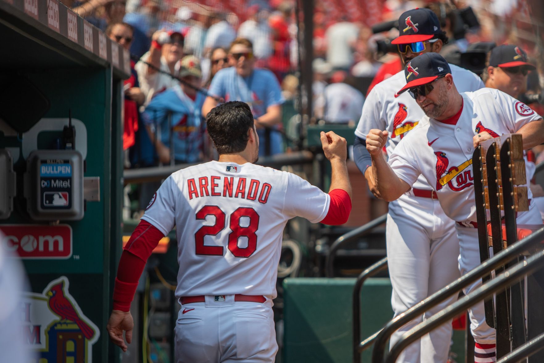 Cardinals take on Reds